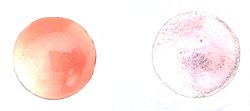 画像1: BX141　銀ピンク濃