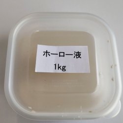 画像1: ホーロー液　1kg